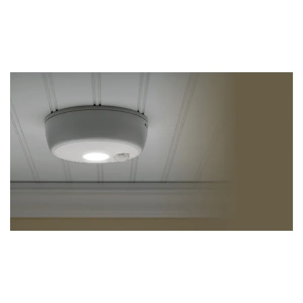 Ceiling Light